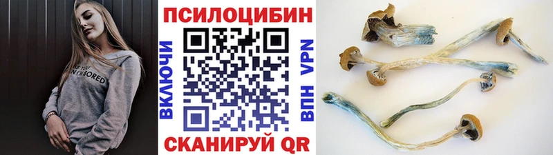 Псилоцибиновые грибы Psilocybine cubensis  Борисоглебск 